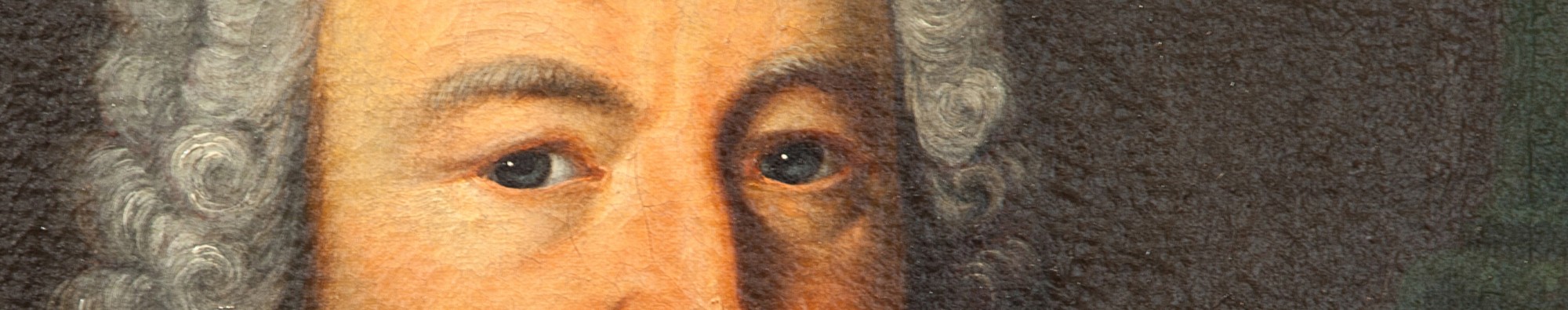 Ausschnitt eines Gemäldes: Zu erkennen ist der Kopf eines Mannes mit grauer Perücke 