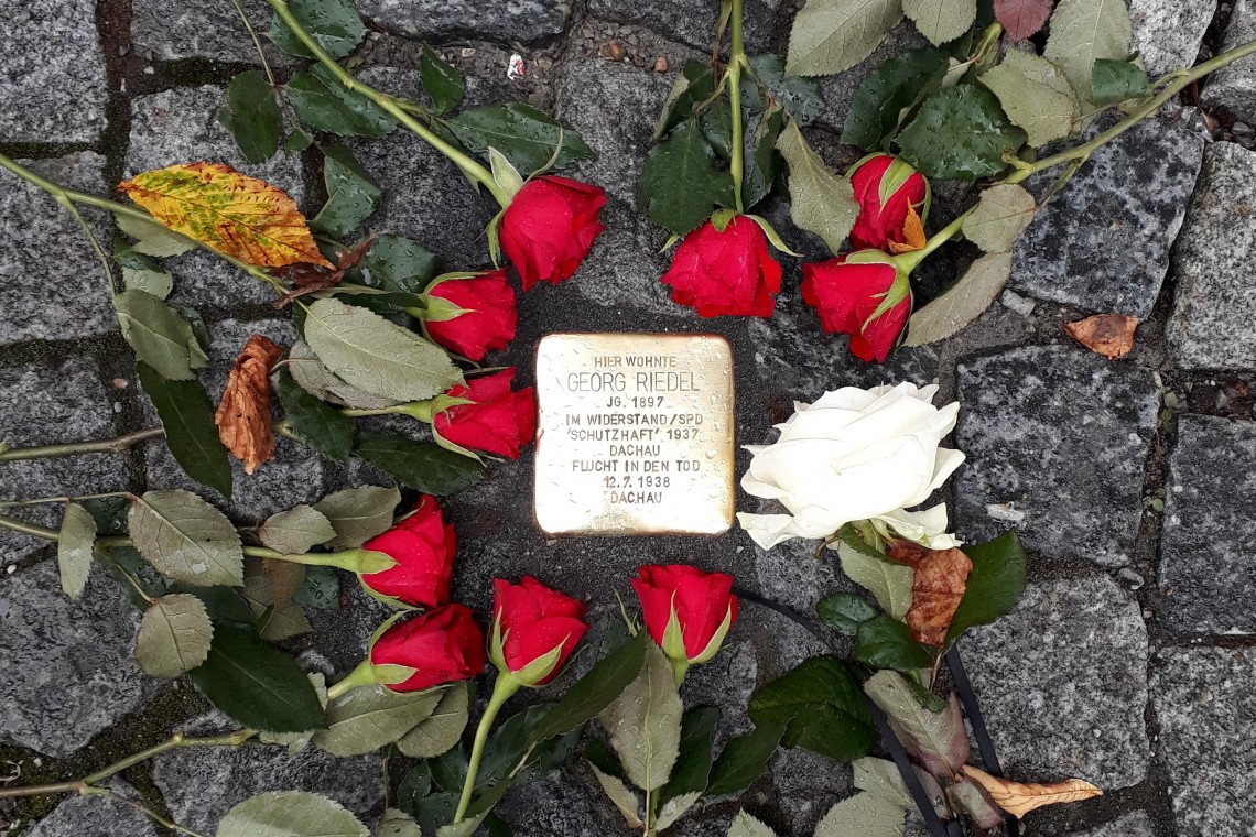 Stolperstein Georg Riedels, umgeben von roten Rosen