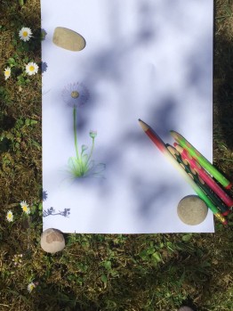 selbstgezeichnete Zeichnung eines Gänseblümchens, daneben Stifte und Wiese
